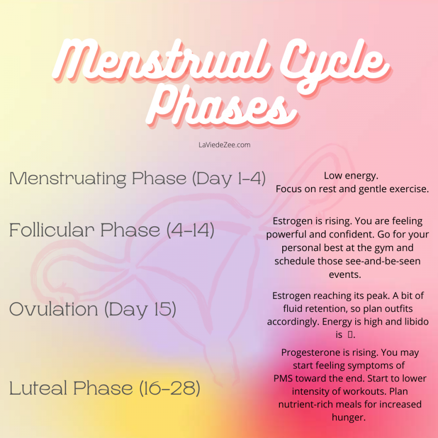 Energy Levels Through Your Menstrual Cycle